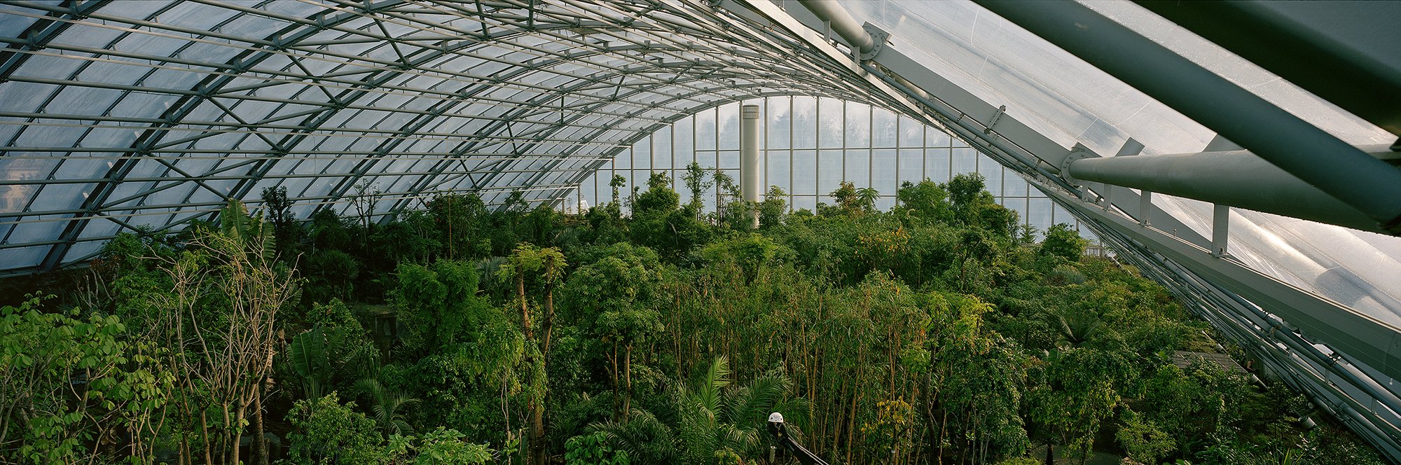 🦁 취리히 동물원